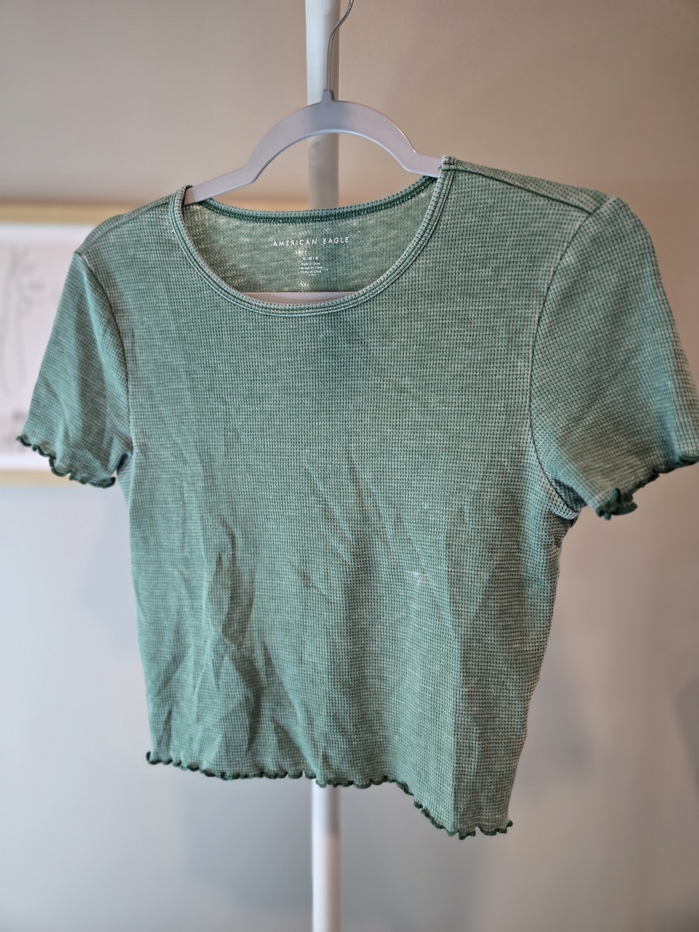 American Eagle Outfitters Women's Green Ribbed Short Sleeve Crop Top